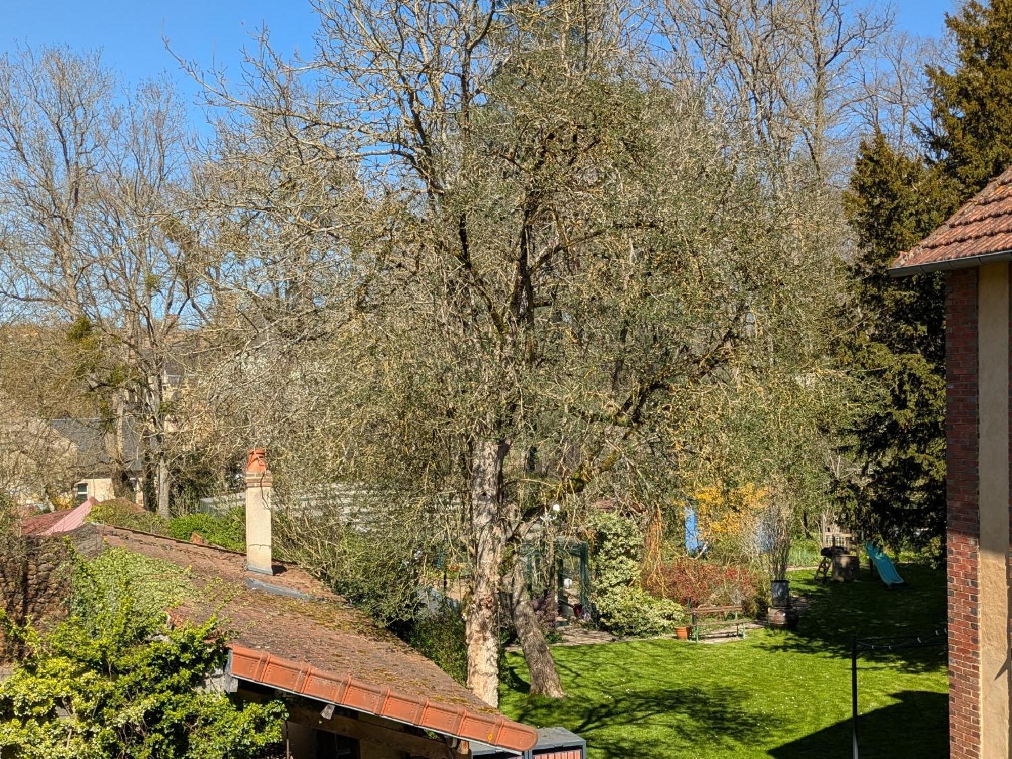 La Maison D'A Cote Saint-Amand-en-Puisaye Ngoại thất bức ảnh
